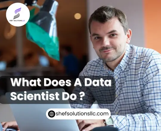 Data Scientist